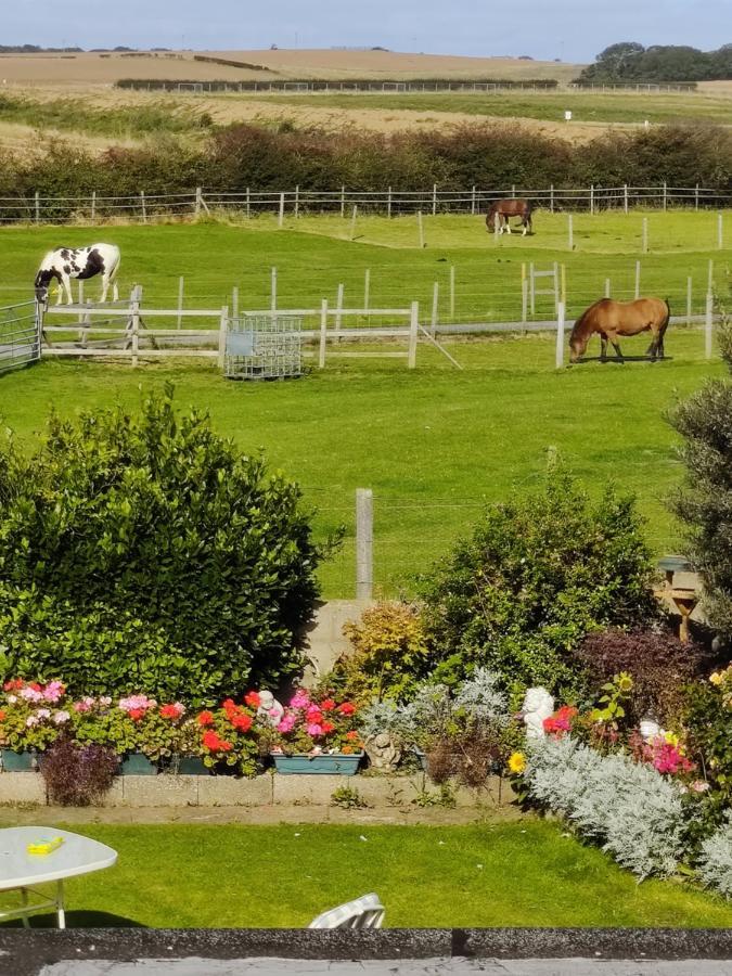 Cameron Court B&B Flamborough Luaran gambar